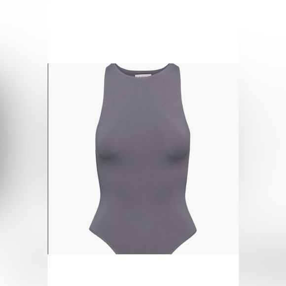 Babaton Other - Aritzia Babaton 90’s Contour Bodysuit Gray excellent condition! $48